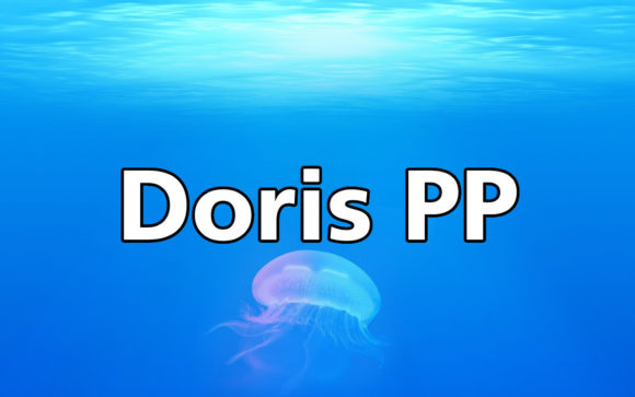 Doris PP: A Clean Sans Serif Font for Polished Brand Identity