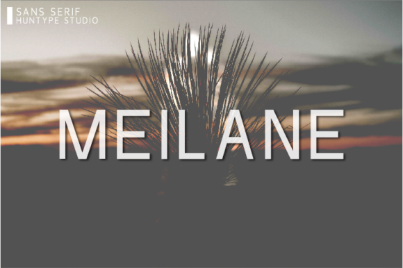 Meilane: A Clean Sans Serif Font for Modern Handmade Branding