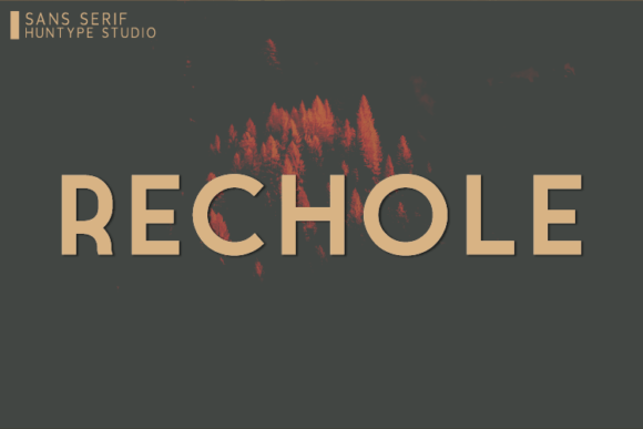 Rechole: The Modern Sans Serif Font for Clean Brand Identity