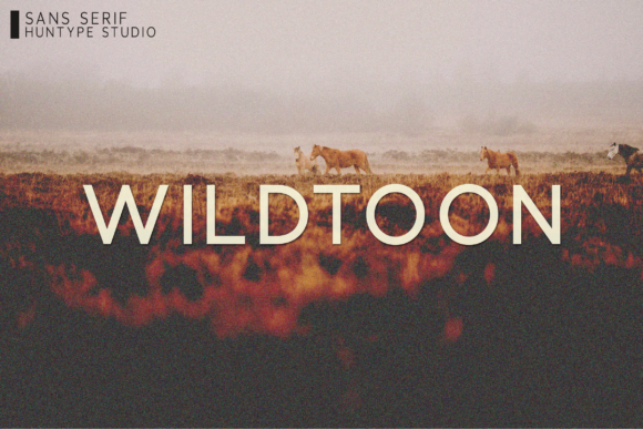 Wildtoon: The Versatile Sans Serif Font for Modern Business Branding